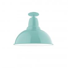 Montclair Light Works FMB107-48 - 14" Cafe Flush Mount Light in Sea Green