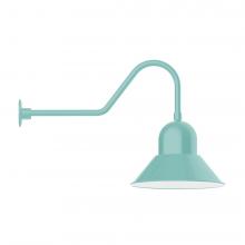 Montclair Light Works GNC125-48-B01-L13 - 16" Prima shade, LED Gooseneck Wall mount, decorative canopy cover, Sea Green