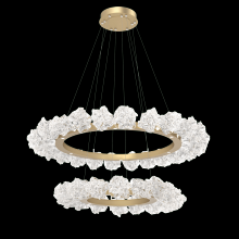 Hammerton CHB0059-2B-MB-BC-CA1-L1 - Two Tier Blossom Ring Chandelier - 2B-Matte Black