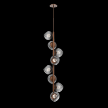 Hammerton CHB0095-T8-BB-FS-001-L1 - Luna Twisted Vine Chandelier