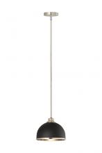 ECOM Only 1004P10-MB-BN - 1 Light Pendant