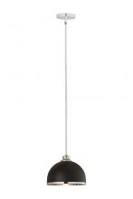 ECOM Only 1004P10-MB-CH - 1 Light Pendant