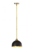 ECOM Only 1004P10-MB-RB - 1 Light Pendant