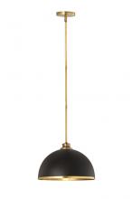 ECOM Only 1004P14-MB-RB - 1 Light Pendant