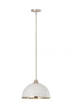 ECOM Only 1004P14-MW-BN - 1 Light Pendant