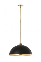 ECOM Only 1004P20-MB-RB - 1 Light Pendant