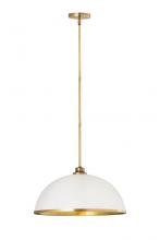 ECOM Only 1004P20-MW-RB - 1 Light Pendant