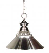 ECOM Only 100701BN-RBN - 1 Light Pendant