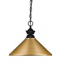 ECOM Only 100701MB-MSG - 1 Light Pendant