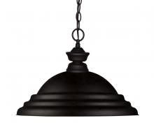 ECOM Only 100701MB-SMB - 1 Light Pendant