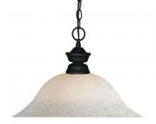 ECOM Only 100701MB-WM16 - 1 Light Pendant