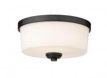 ECOM Only 220F2-MB - 2 Light Flush Mount