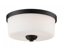 ECOM Only 220F2 - 2 Light Flush Mount