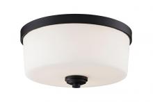 ECOM Only 220F3 - 3 Light Flush Mount