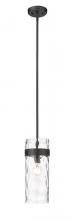 ECOM Only 3035P6-MB - 1 Light Pendant