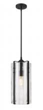 ECOM Only 3036P8-MB - 1 Light Pendant