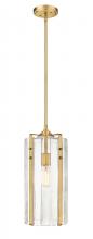 ECOM Only 3036P8-RB - 1 Light Pendant