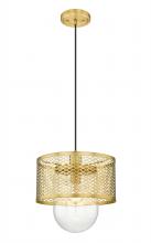 ECOM Only 3037P11-RB - 1 Light Pendant