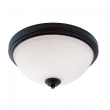 ECOM Only 314F3-BRZ - 3 Light Flush Mount