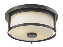 ECOM Only 413F11 - 2 Light Flush Mount