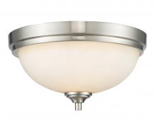 ECOM Only 435F2-BN - 2 Light Flush Mount