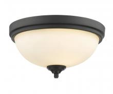 ECOM Only 435F2-BRZ - 2 Light Flush Mount