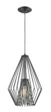 ECOM Only 442MP12-MB - 1 Light Pendant