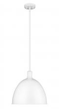 ECOM Only 4500P12-SW - 1 Light Pendant