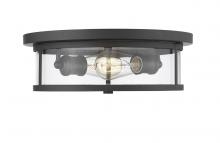 ECOM Only 462F14-BRZ - 2 Light Flush Mount