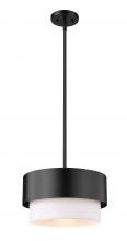 ECOM Only 495P12-MB - 1 Light Pendant