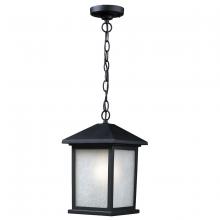 ECOM Only 507CHM-BK - 1 Light Outdoor Chain Mount Ceiling Fixture