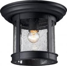 ECOM Only 515F-BK - 1 Light Outdoor Flush Mount