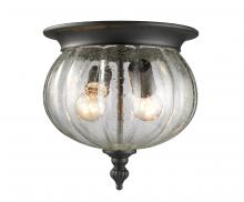 ECOM Only 516F-BK - 2 Light Outdoor Flush Mount