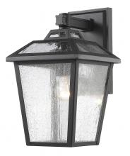 ECOM Only 539S-BK - 1 Light Outdoor Wall Light