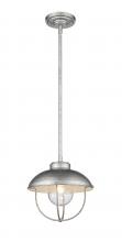 ECOM Only 590P-GV - 1 Light Outdoor Pendant