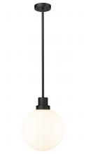 ECOM Only 597P12-BK - 1 Light Outdoor Pendant