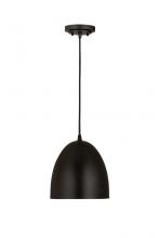 ECOM Only 6012P9-SBK - 1 Light Pendant