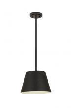 ECOM Only 6013-12MB - 1 Light Pendant