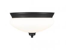 ECOM Only 721F2-MB - 2 Light Flush Mount