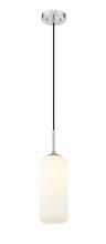 ECOM Only 732P17-BN - 1 Light Pendant