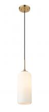 ECOM Only 732P17-HBR - 1 Light Pendant