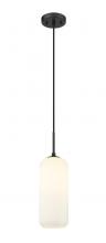 ECOM Only 732P17-MB - 1 Light Pendant