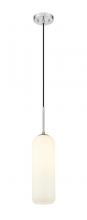 ECOM Only 732P22-BN - 1 Light Pendant