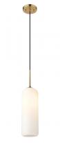 ECOM Only 732P22-HBR - 1 Light Pendant