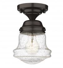 ECOM Only 736F1-BRZ - 1 Light Flush Mount