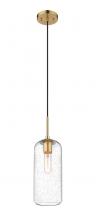 ECOM Only 738P17-HBR - 1 Light Pendant