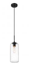 ECOM Only 738P17-MB - 1 Light Pendant