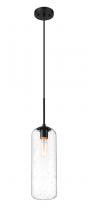 ECOM Only 738P22-MB - 1 Light Pendant