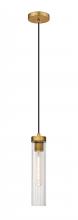 ECOM Only 740P-RB - 1 Light Pendant