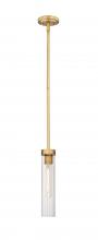 ECOM Only 740P-ROD-RB - 1 Light Pendant